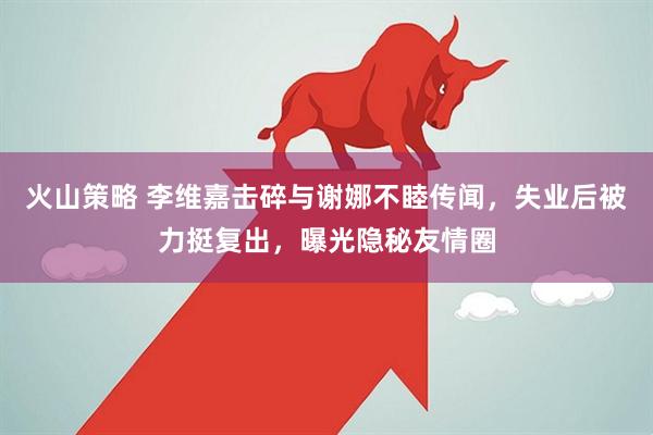 火山策略 李维嘉击碎与谢娜不睦传闻，失业后被力挺复出，曝光隐秘友情圈