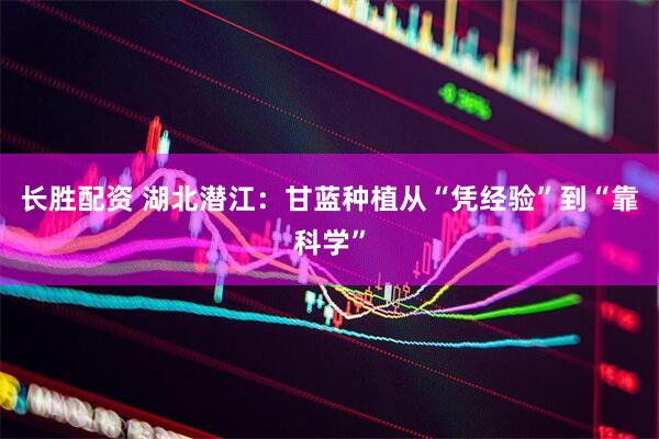 长胜配资 湖北潜江：甘蓝种植从“凭经验”到“靠科学”