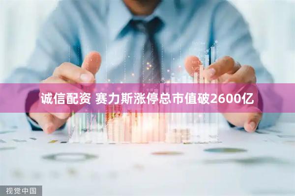诚信配资 赛力斯涨停总市值破2600亿