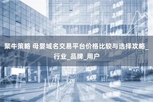 聚牛策略 母婴域名交易平台价格比较与选择攻略_行业_品牌_用户