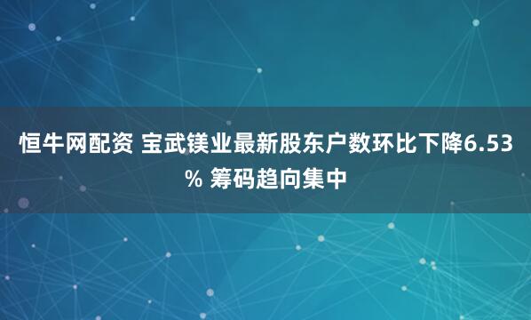 恒牛网配资 宝武镁业最新股东户数环比下降6.53% 筹码趋向集中